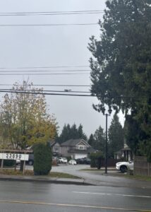 【交換留学マンスリーレポート】カナダ フレイザーバレー大学